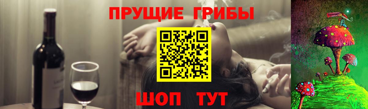 Нурлат  Галлюциногенные грибы GOLDEN TEACHER  Вход с VPN 